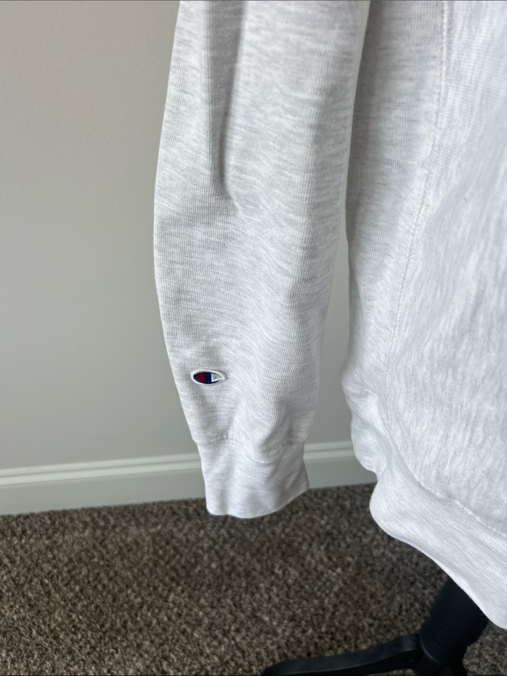 Champion Salty Dog Graphic Sweatshirt in Light Gray Oversized - Picture 4 of 7